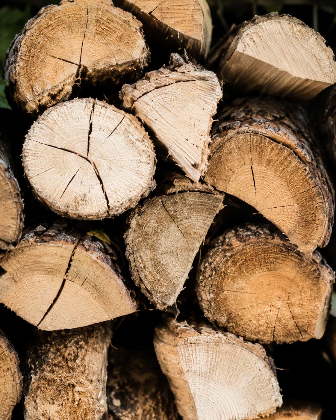 Stacked logs and timber in a wooded service area